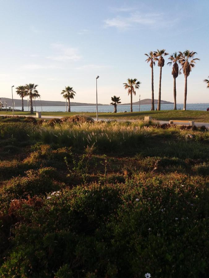 Apartment Nador Rif Exteriér fotografie